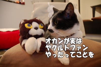 b0041182_022070.jpg
