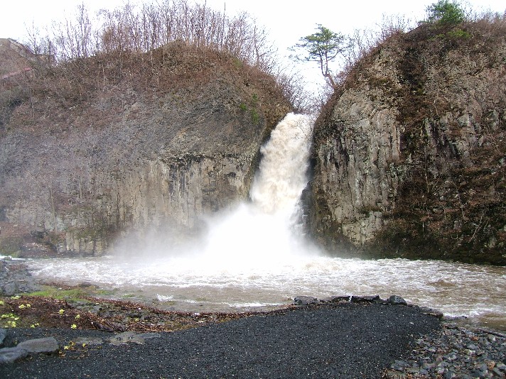 d0085096_1741659.jpg
