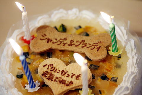 c0090198_16182467.jpg