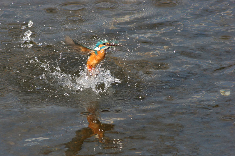 f0095702_21321348.jpg