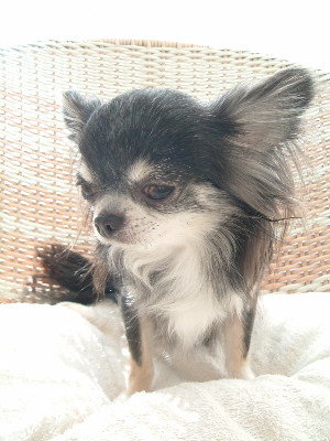 a0079803_212642100.jpg