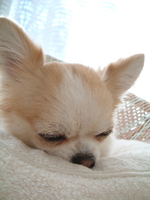 a0079803_21305659.jpg