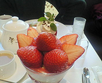 c0017505_1747353.jpg
