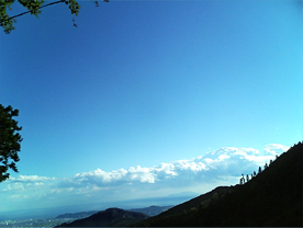 c0055305_22371084.jpg