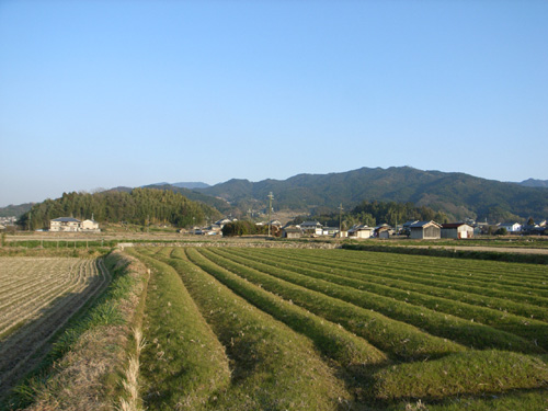 e0024206_23451472.jpg
