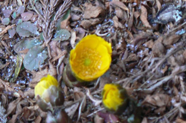 c0086014_20593555.jpg