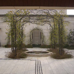 c0036617_19314611.jpg