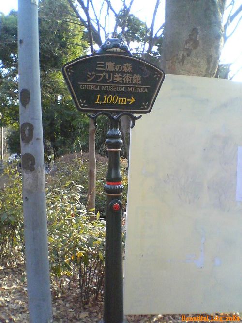 d0005621_23271699.jpg