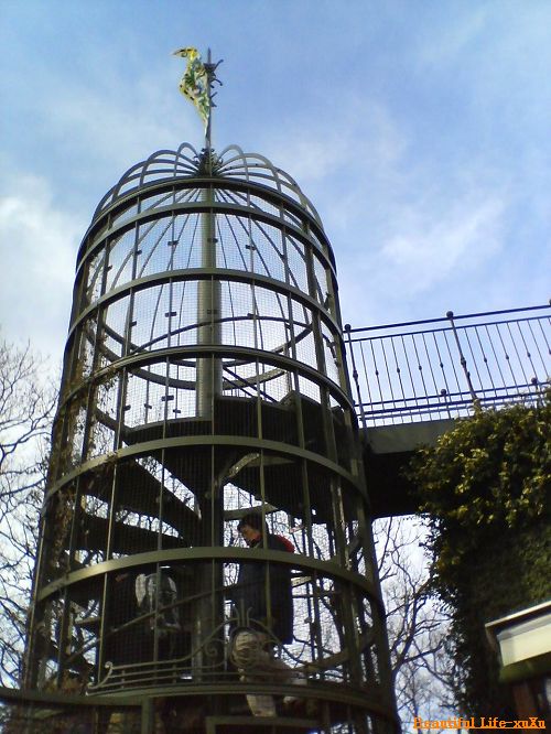d0005621_2354292.jpg