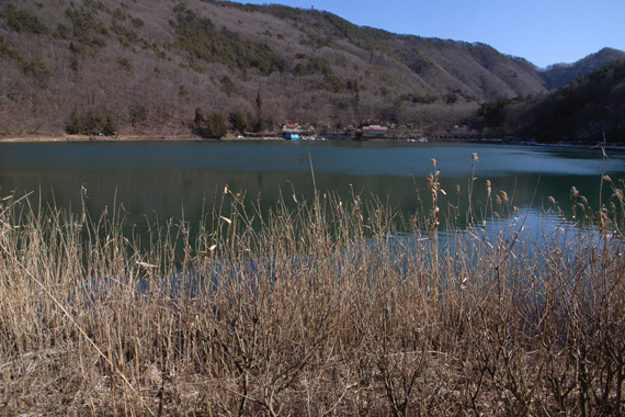 d0090322_17234940.jpg