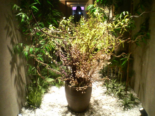 d0012323_22372826.jpg