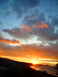 d0023725_1145721.jpg