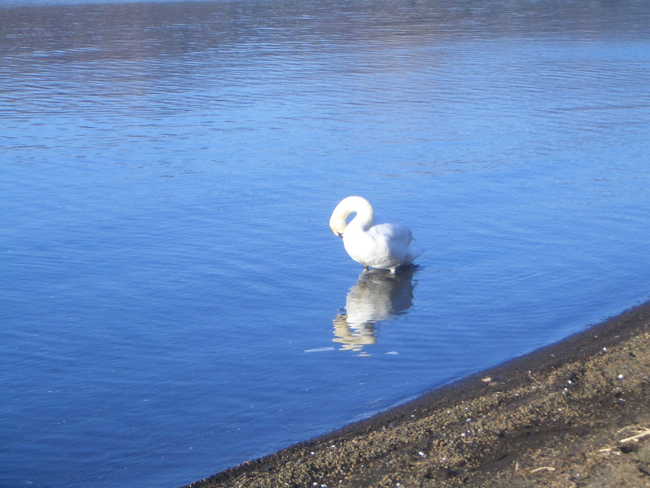 c0078032_1065670.jpg