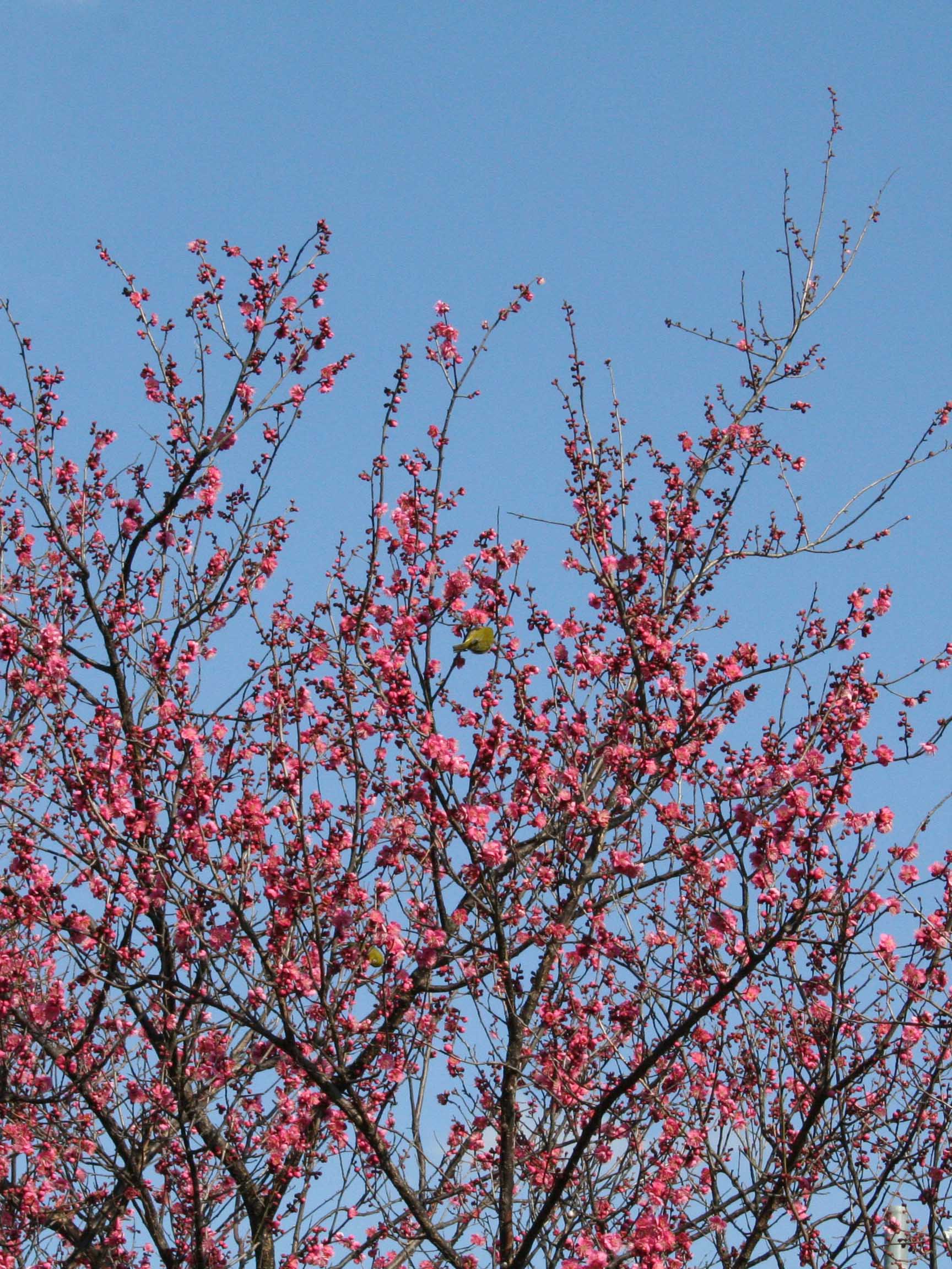 c0073633_7434477.jpg