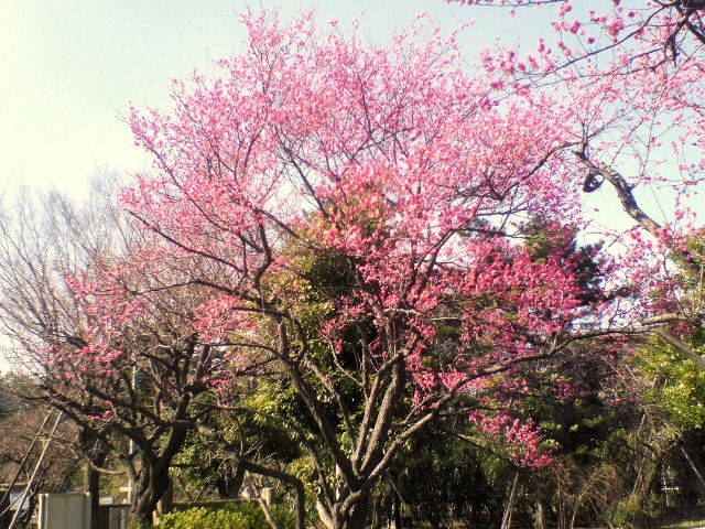 e0064133_19484022.jpg
