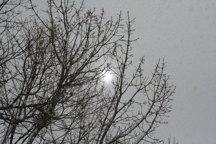 d0012134_18132722.jpg
