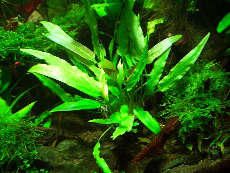 c0087937_2392492.jpg