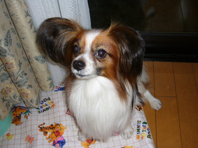 e0100046_2232119.jpg