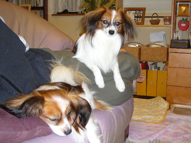 e0100046_2240209.jpg