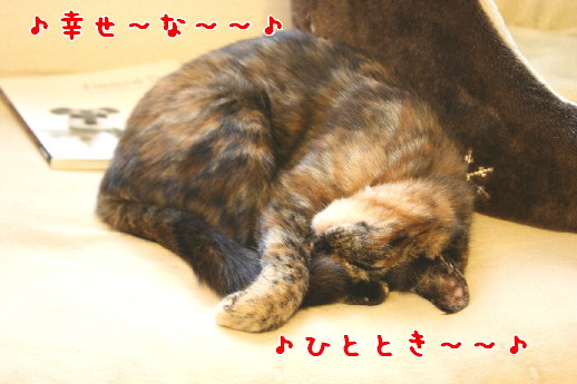 d0013149_1171362.jpg