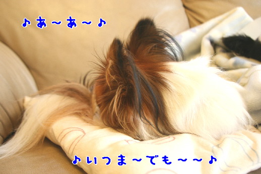 d0013149_117244.jpg