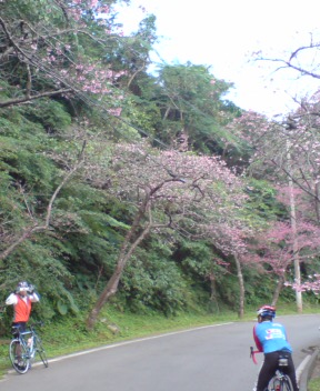 e0050449_21211842.jpg