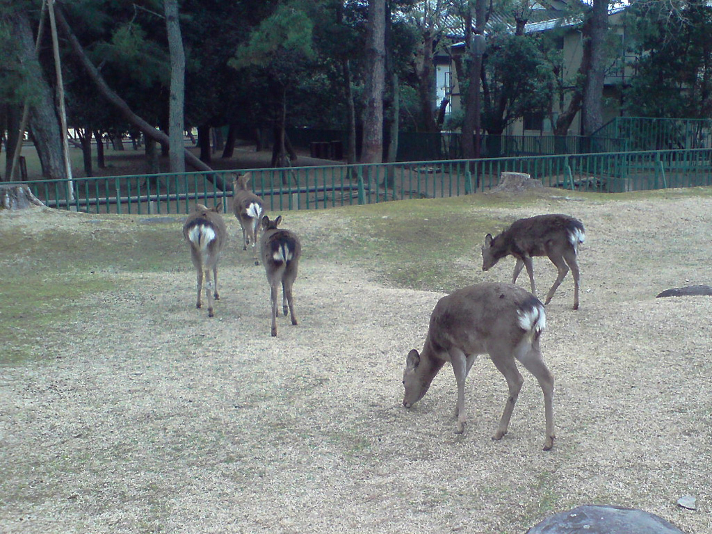 d0021258_2225711.jpg