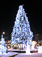 a0050669_044026.jpg