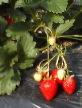b0098371_23551283.jpg