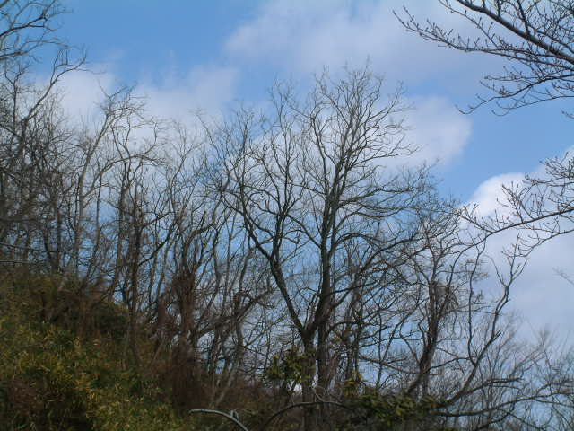 b0044296_20155883.jpg