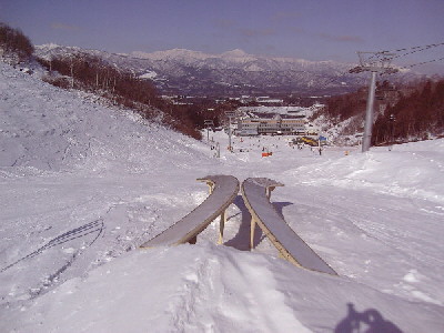 b0070396_2003073.jpg