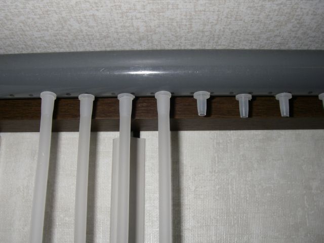 e0010301_1639518.jpg
