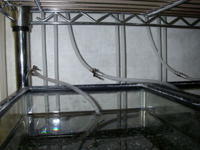 e0010301_16404792.jpg