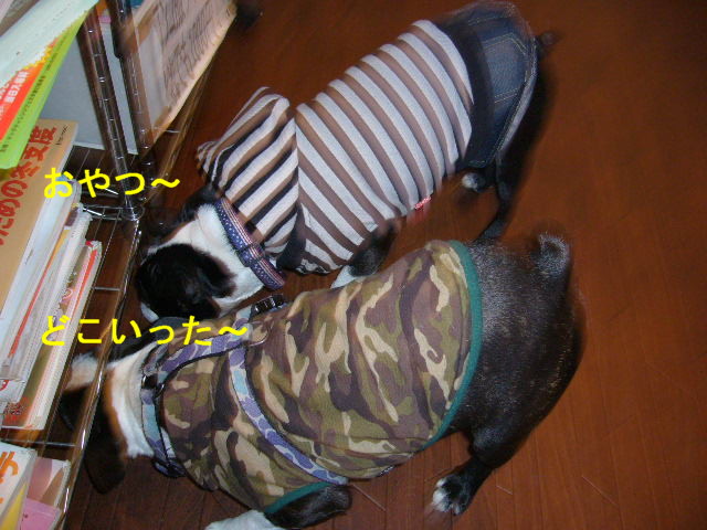d0070702_8551285.jpg