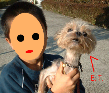 a0041108_21515665.gif