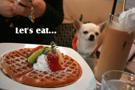 e0032508_21523570.gif