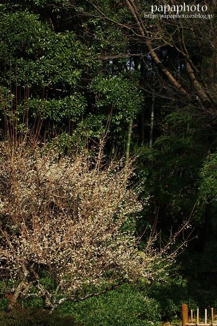 f0041908_21495611.jpg
