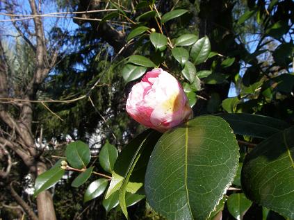 c0097309_1222745.jpg