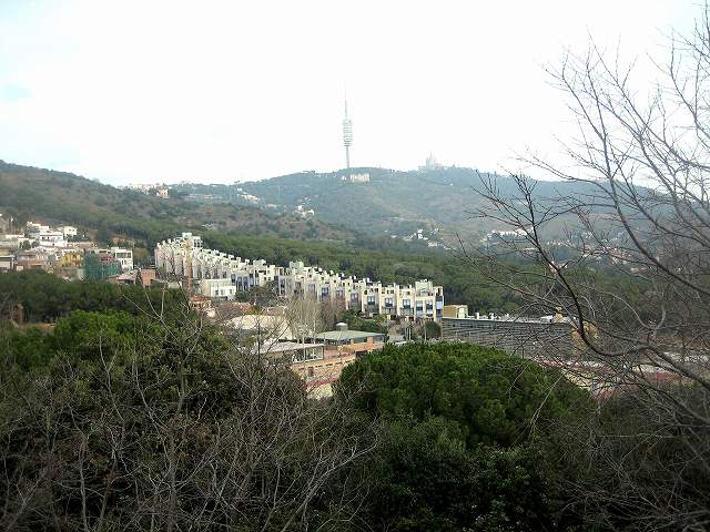 b0064411_6395489.jpg