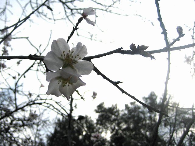 b0064411_6474854.jpg