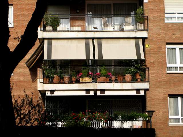 b0064411_7214226.jpg