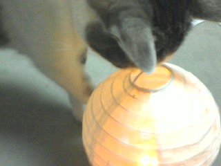 c0034615_22291841.jpg
