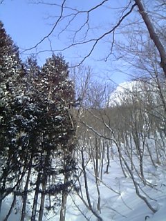 e0073418_2143596.jpg