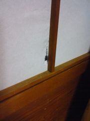 c0012120_21122298.jpg