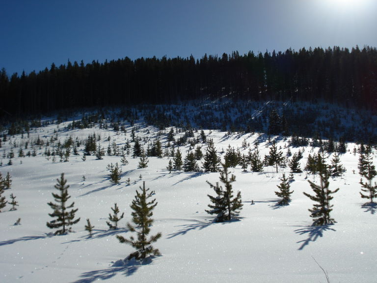 c0112622_544952.jpg