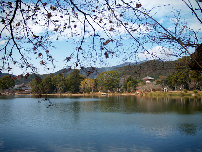 c0039630_13425145.jpg