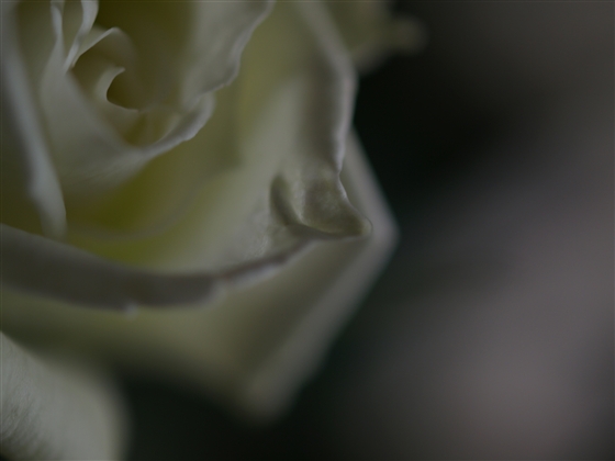 e0107030_13385764.jpg