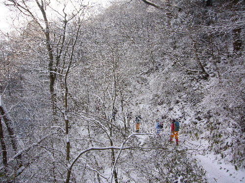 d0075131_0241565.jpg