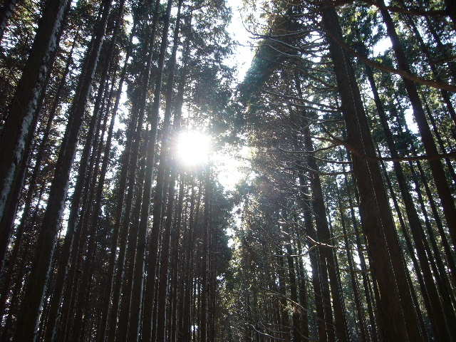 d0075131_22384379.jpg