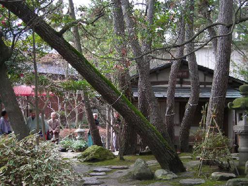 f0063931_10442093.jpg